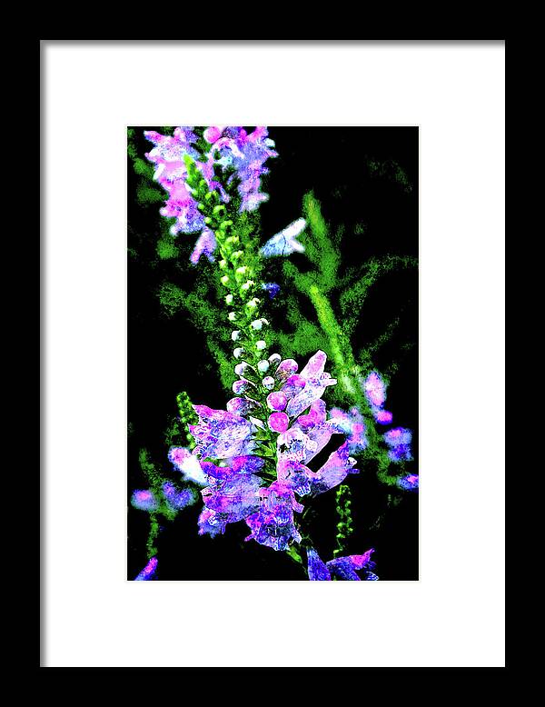 Texture Framed Print featuring the photograph Texture Flowers #44 by Prince Andre Faubert