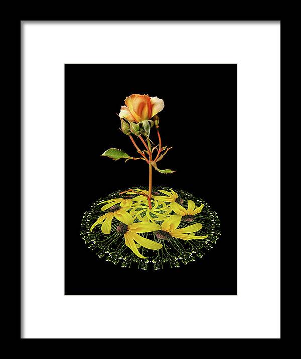 Flowers Framed Print featuring the photograph 4407 by Peter Holme III