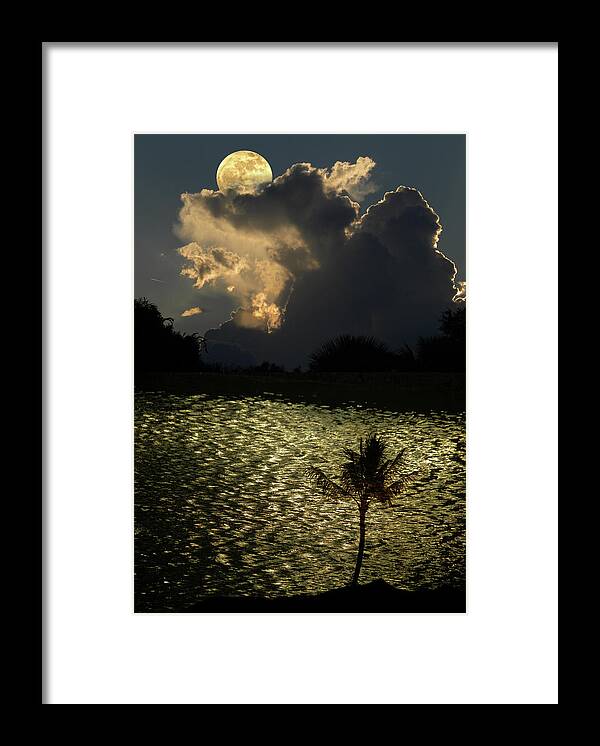 Moon Framed Print featuring the photograph 4553 by Peter Holme III