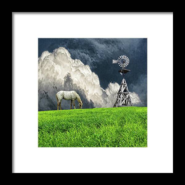 Animal Framed Print featuring the photograph 4669 by Peter Holme III
