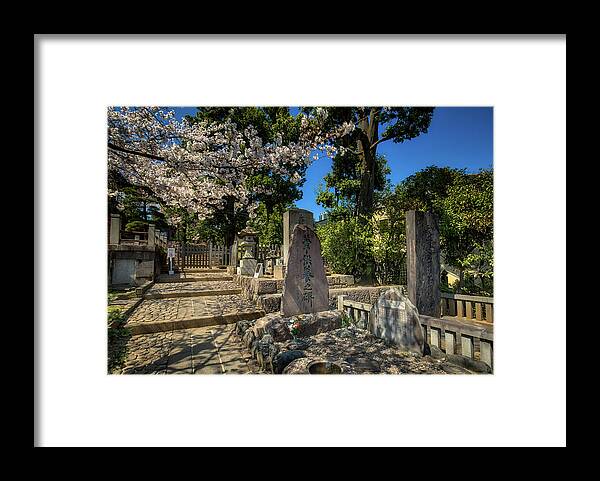 Sengaku-ji Temple Framed Print featuring the photograph 47 Samurai and Cherry Blossoms by Ross Henton