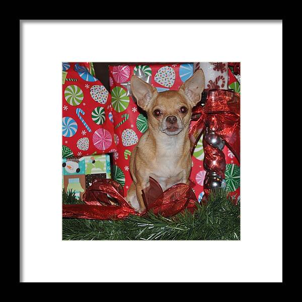  Framed Print featuring the photograph Instagram Photo #481435734198 by Gretchen Byars