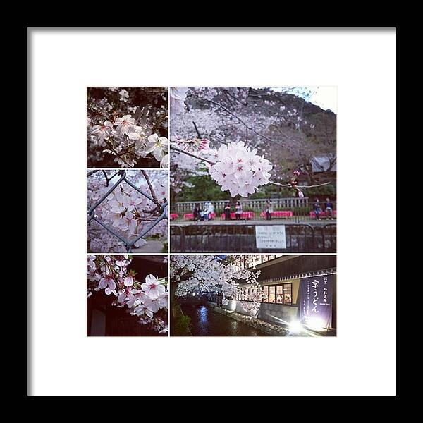 山科 Framed Print featuring the photograph Instagram Photo #491460087115 by D H
