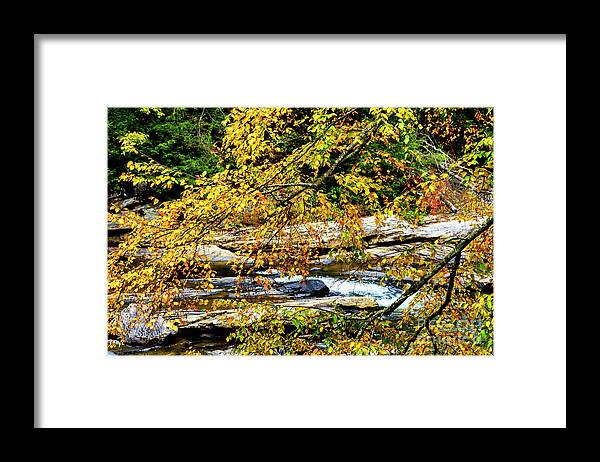 Middle Fork River Framed Print featuring the photograph Autumn Middle Fork River #5 by Thomas R Fletcher