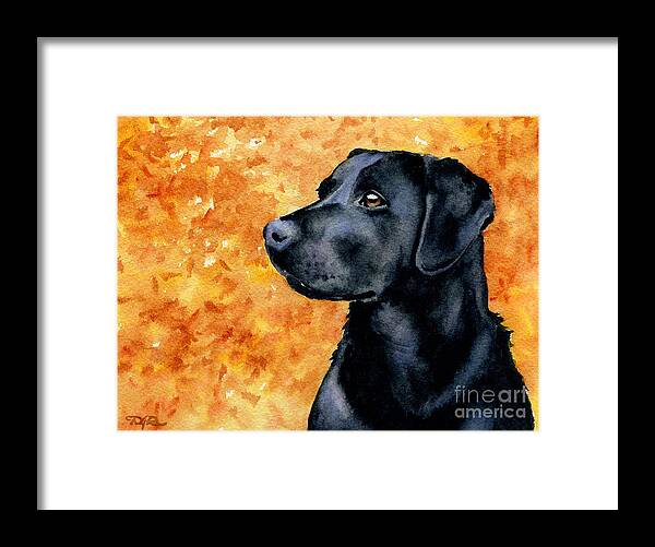 Black Lab Framed Print featuring the painting Black Lab #5 by David Rogers