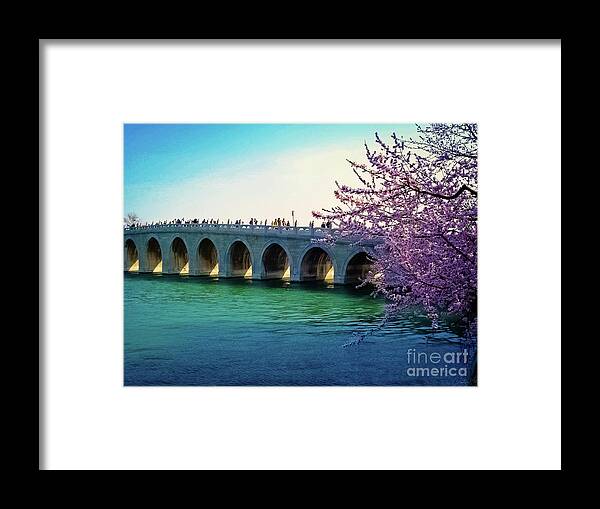 China Framed Print featuring the photograph Discovering China by Marisol VB