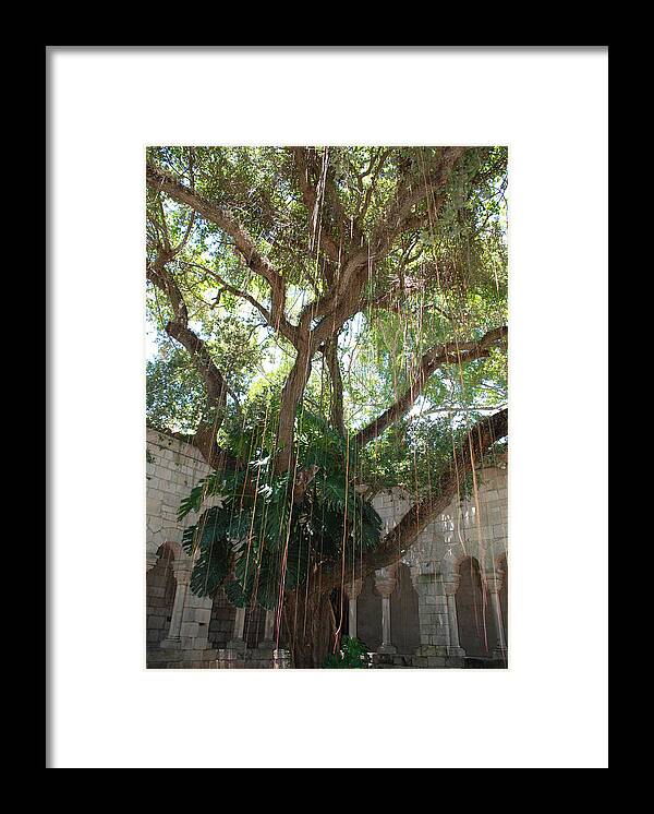 Architecture Framed Print featuring the photograph Miami Monastery #5 by Rob Hans