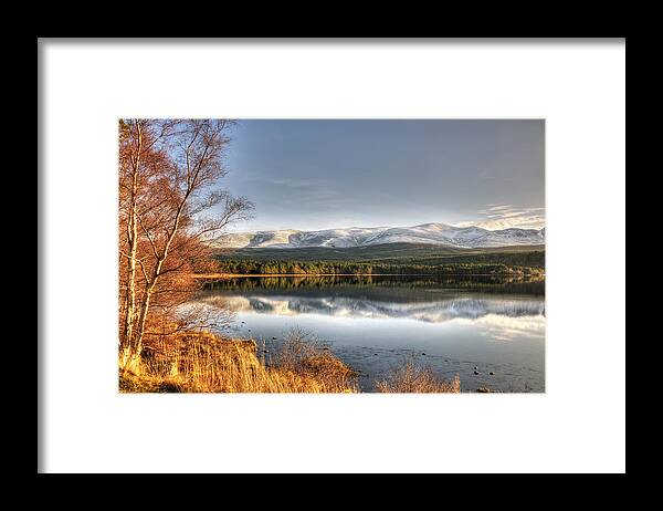 Scotland Framed Print featuring the photograph Scotland #6 by Gouzel -