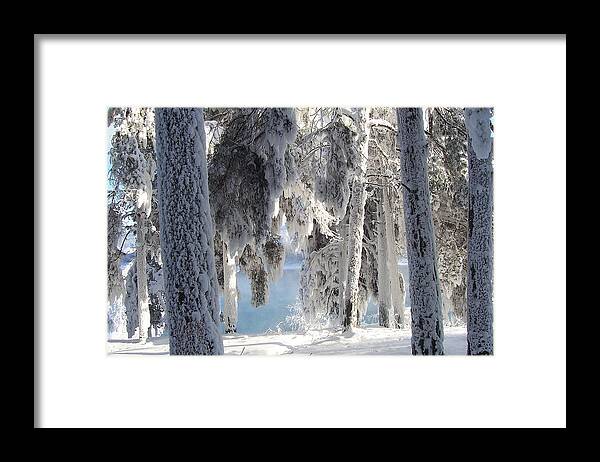 Winter Framed Print featuring the photograph Winter #5 by Jackie Russo