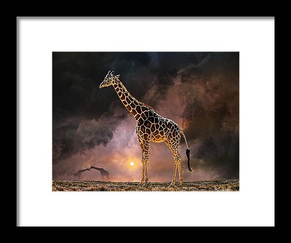 Giraffe Framed Print featuring the photograph 4144 by Peter Holme III