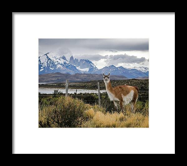 Landscape Framed Print featuring the photograph 51 South 2 by Ryan Weddle