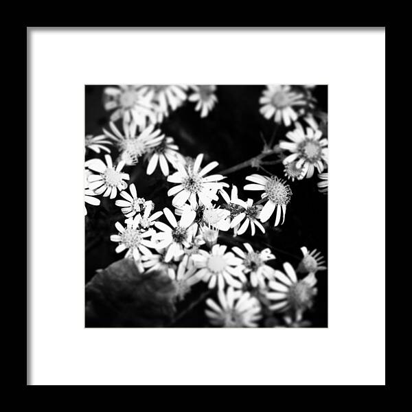Beautiful Framed Print featuring the photograph Instagram Photo #511434082902 by Jason Roust