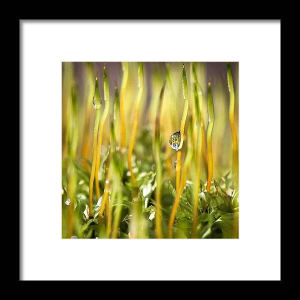 Rcspics Framed Print featuring the photograph 52 Week Project - 04 by Dave Edens