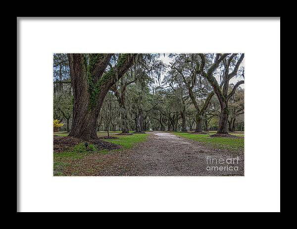 Fenwick Hall Framed Print featuring the photograph Walk the Path by Dale Powell