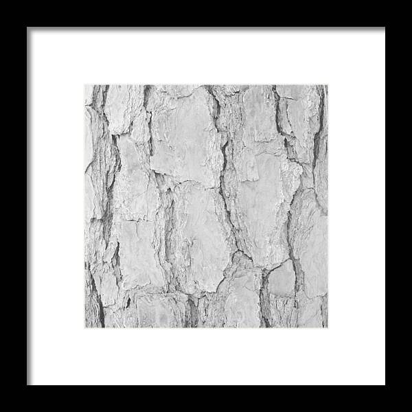 Landscape Framed Print featuring the photograph Bark by Kelsie Colpitts