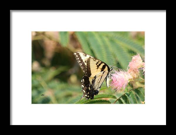 Air Framed Print featuring the photograph 5859 1 by Jim Simms