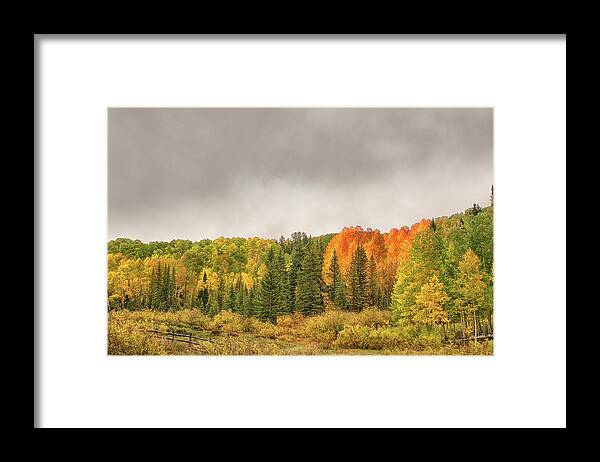 Aspen Trees Framed Print featuring the photograph Colorado Fall Foliage 1 by Victor Culpepper