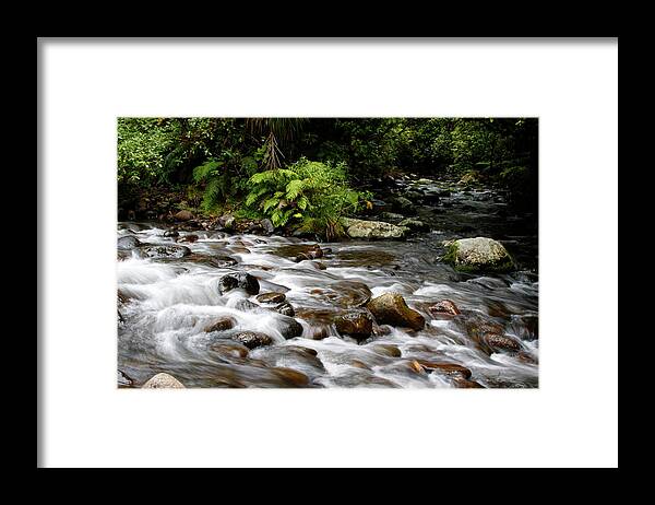 Creek Framed Print featuring the photograph Forest stream 1 by Les Cunliffe