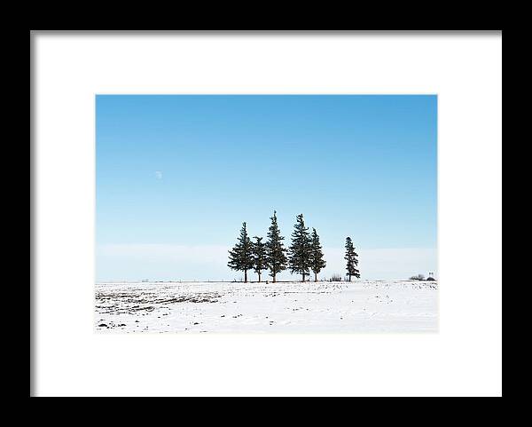 Pines Framed Print featuring the photograph 6 Pines And The Moon by Troy Stapek