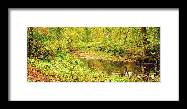 Stream Framed Print featuring the photograph Stream in Autumn, Montgomery County, Pennsylvania #6 by A Macarthur Gurmankin
