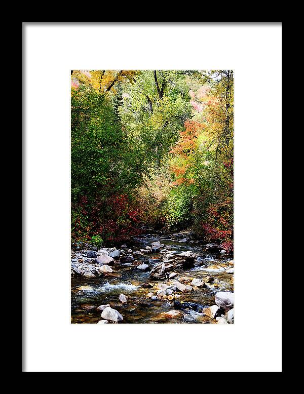 Autumn Framed Print featuring the photograph Rocky Mountain Fall by Mark Smith