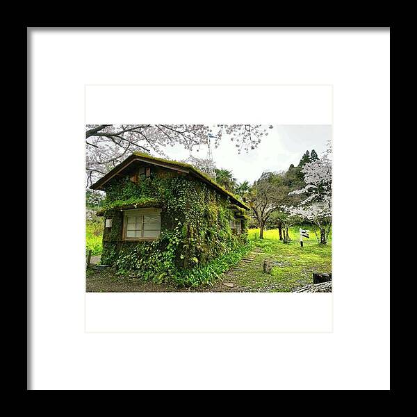 千葉 Framed Print featuring the photograph Instagram Photo #641460163304 by Yanpon Yamamoto
