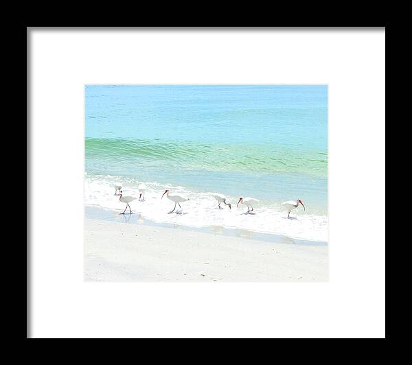 Birds Framed Print featuring the photograph 7 by Alison Belsan Horton