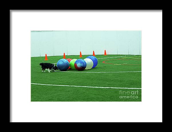  Framed Print featuring the photograph Barb and Angie #7 by Fred Stearns