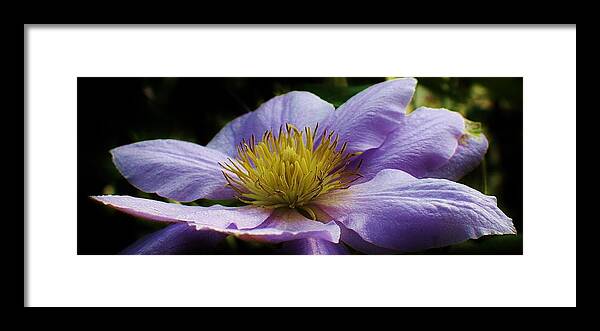 Flora Framed Print featuring the photograph Bathing in the Sun #7 by Bruce Bley