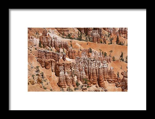 Bryce Canyon Framed Print featuring the photograph Bryce Canyon - Utah #7 by Anthony Totah