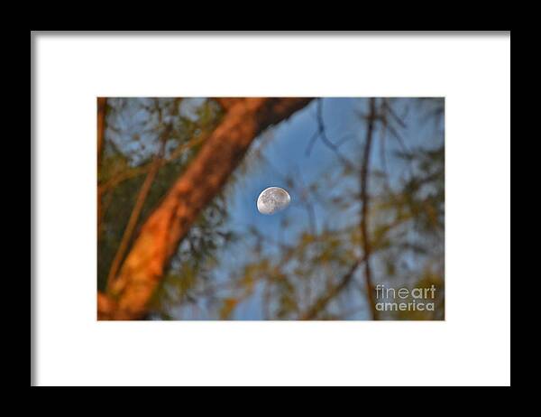 Moon Framed Print featuring the photograph 7- Moon Forest by Joseph Keane