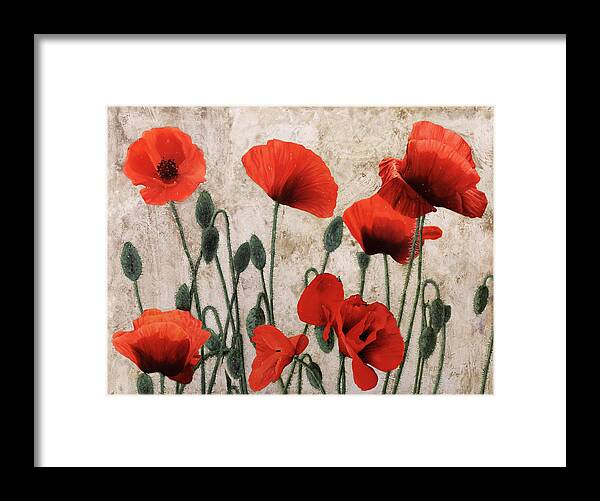 Poppies Framed Print featuring the painting 7papaveri7 by Guido Borelli