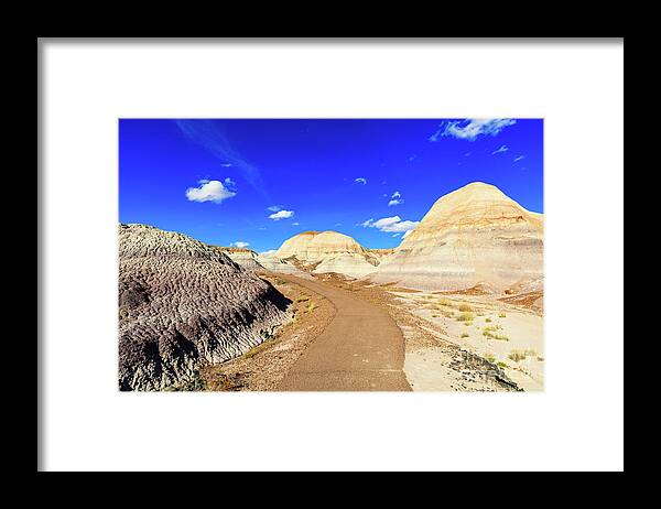 Arizona Framed Print featuring the photograph Arizona Petrified Forest #8 by Raul Rodriguez