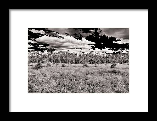 Everglades Framed Print featuring the photograph Florida Everglades #8 by Raul Rodriguez