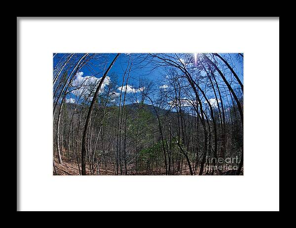 Lake Lure Framed Print featuring the photograph Lake Lure #8 by Buddy Morrison