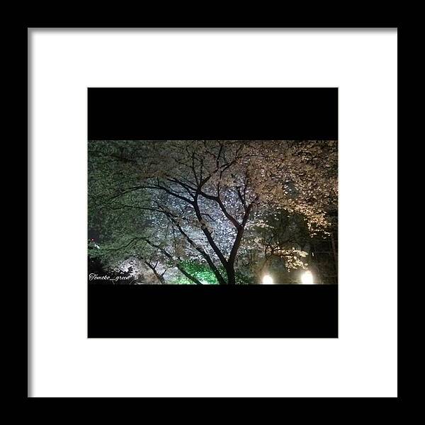 日本 Framed Print featuring the photograph Instagram Photo #911459780073 by Tomoko Takigawa
