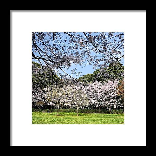 Flower Framed Print featuring the photograph Instagram Photo #931459939416 by Hideki Sato
