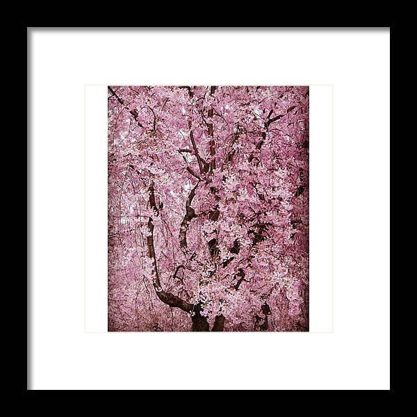 Pentax Framed Print featuring the photograph Instagram Photo #951459855470 by Iwamuro Yudai