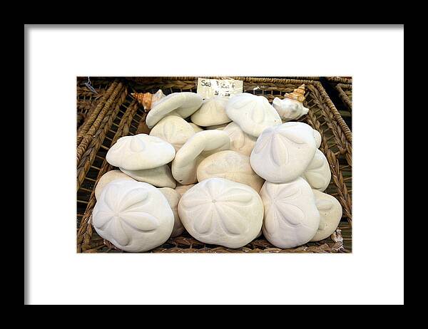 Sea Biscuits Framed Print featuring the photograph A Basket of Sea Biscuits by Carla Parris