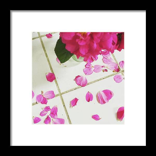 Floral Framed Print featuring the photograph A Beautiful Mess. 
#summer #roses by Hermes Fine Art