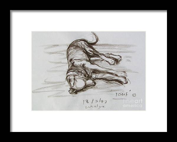 Puppy Framed Print featuring the drawing A Big Puppy by Sukalya Chearanantana