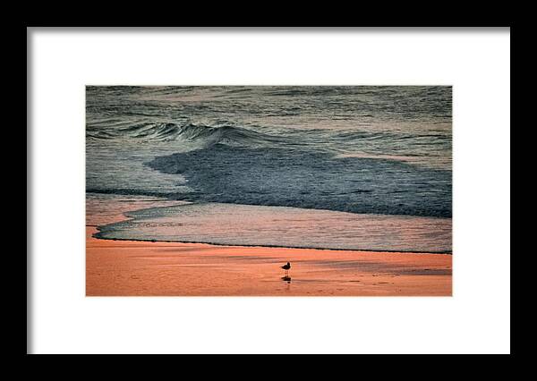 Beaches Framed Print featuring the photograph A Bird's Eye View by Karen Wiles