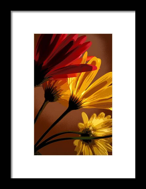 Flower Framed Print featuring the photograph A Bunch of Beauties by Julie Lueders 