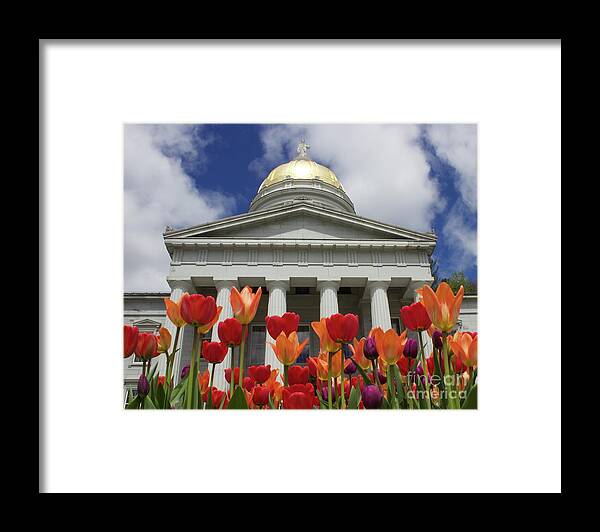 Tulips Framed Print featuring the photograph A Capitol Day by Alice Mainville