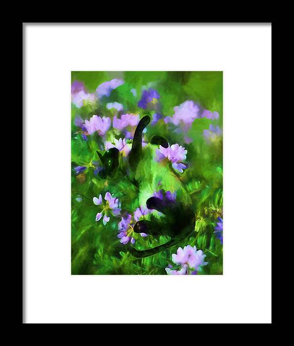 Cat Framed Print featuring the photograph A Cat's Dream by Theresa Campbell
