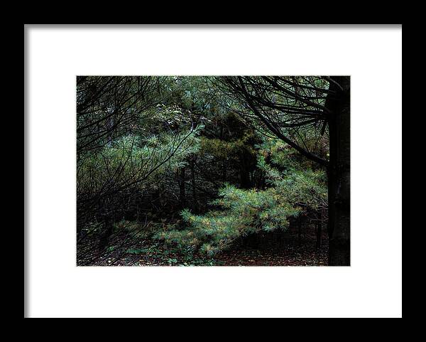  Framed Print featuring the photograph A Clearing In The Wild by Kenneth Campbell
