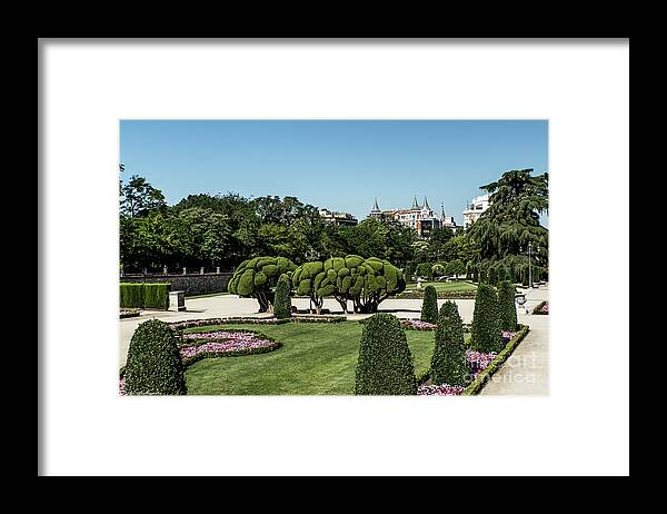 Flowers Framed Print featuring the photograph Colorfull El Retiro Park by Arik Baltinester