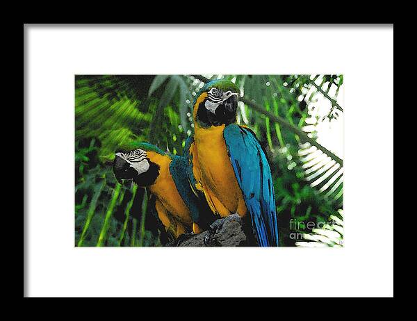 Tropical Framed Print featuring the painting A curious pair by David Lee Thompson