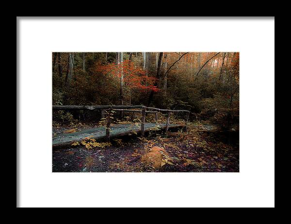 Nature Trail Bridge Framed Print featuring the photograph A Day Hiking by Mike Eingle