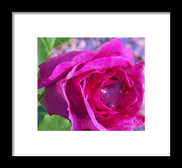 Rose Framed Print featuring the photograph A Drop of Love 2 by Sharon Ackley